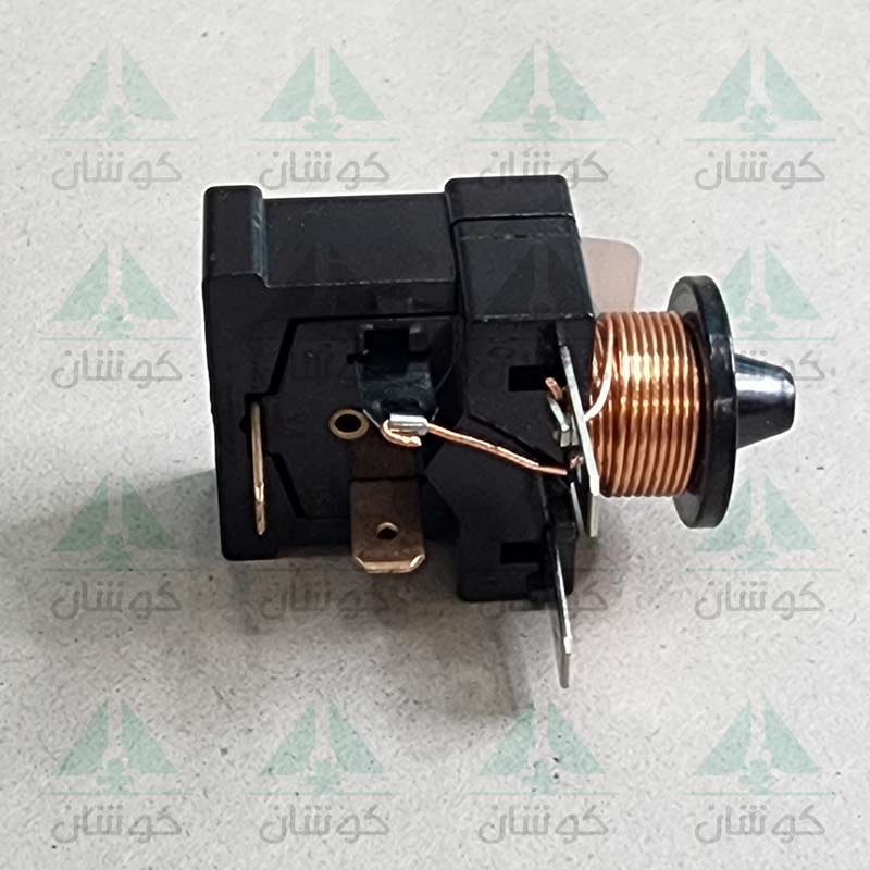رله دانفوس 1/3