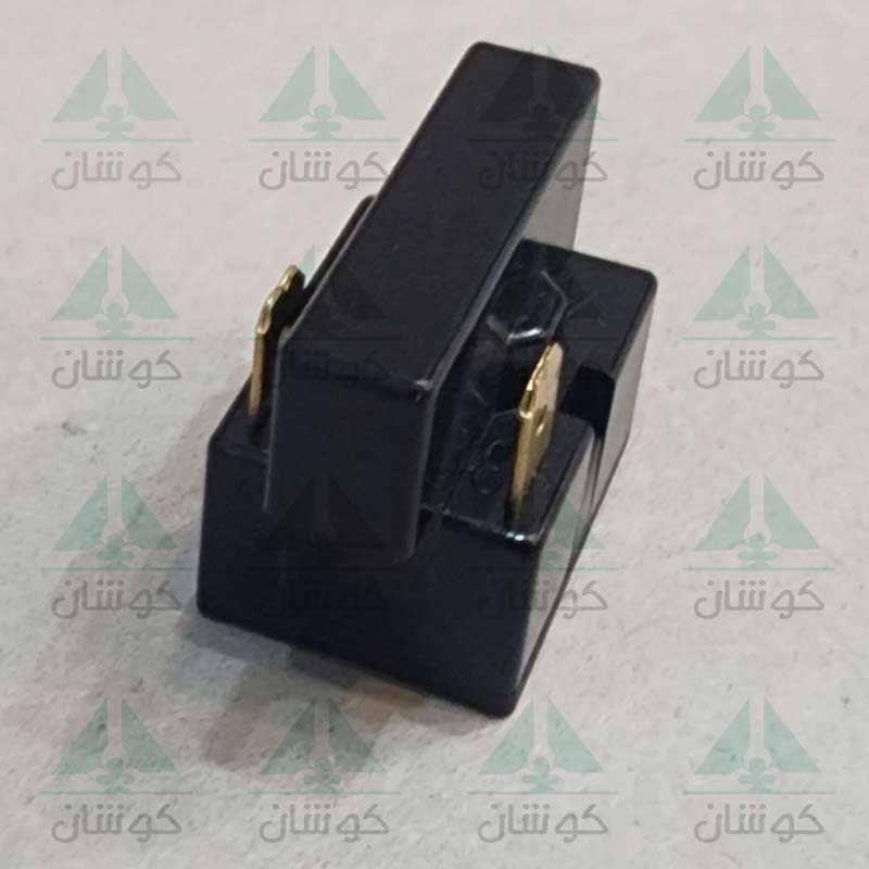 رله دو فیش